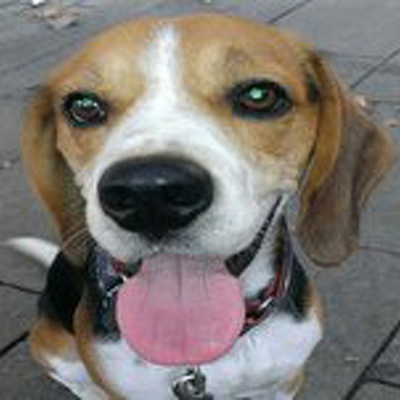 Podcast De Becoming-psicocoaching