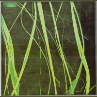 “Sustainable?” Part 1: Introduction by Stan Allen/ Iñaki Ábalos