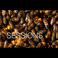 How much a dollar costs