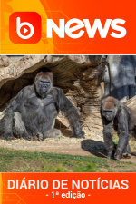 Diário de Notícias - 12/01/2021 - 1ª Edição