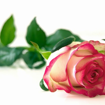 Fuera De Contexto - Podcast | Historias | Diseño