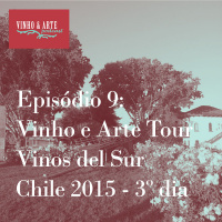 009 - Vinho e Arte Tour - Vinos del Sur - Chile 2015 - dia 3