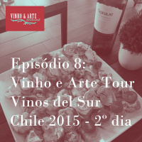 008 - Vinho e Arte Tour - Vinos del Sur - Chile 2015 - dia 2
