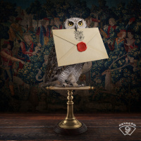 BÔNUS: Instituto Mágico de Podcasts do Estação 9¾: sua carta chegou!