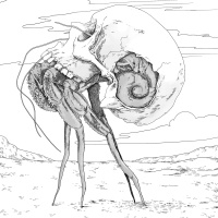 178 - Rattlesnake Rest