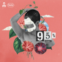 95% - Episódio 1
