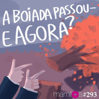 A boiada passou - e agora?