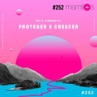 Meio ambiente: proteger x crescer