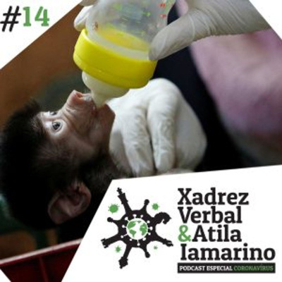 Central3 Podcasts - Xadrez Verbal