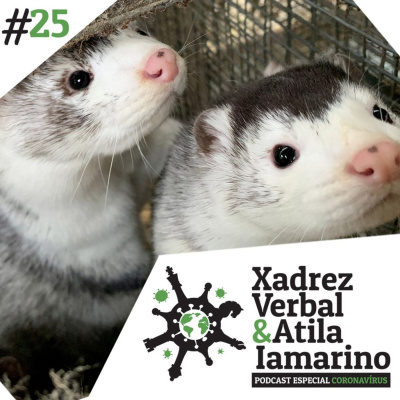 Central3 Podcasts - Xadrez Verbal