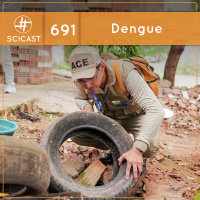 Dengue (SciCast #691)