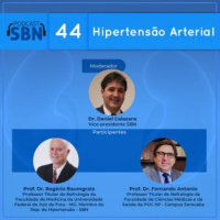 Hipertensão Arterial e os Rins (SBN #44)