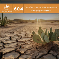 Tubarões com cocaina, Brasil árido e Angra precarizada (SciCast #604)