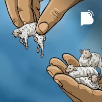 Podemos Perder a Salvação – Visão Calvinista – BTCast 434