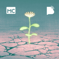 Pratique a ressurreição – BTCast MC 034