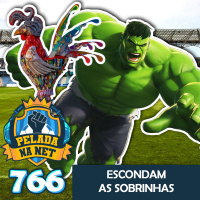 Pelada na Net #766 - Escondam As Sobrinhas
