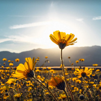 Listen Again: Revitalize (2021)