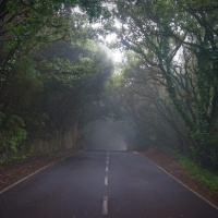 Navigating uncertainty