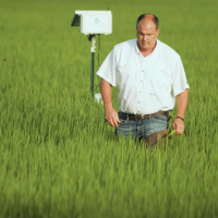 What well eat on a warmer planet