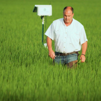 What well eat on a warmer planet