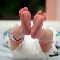 The secrets in your babys genes