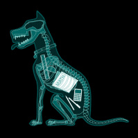 A Phrasal Verb a Day #80 - to make something up