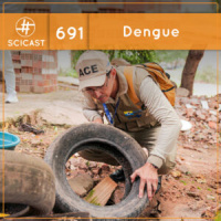 Dengue (SciCast #691)