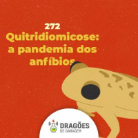 Quitridiomicose – Dragões de Garagem #272