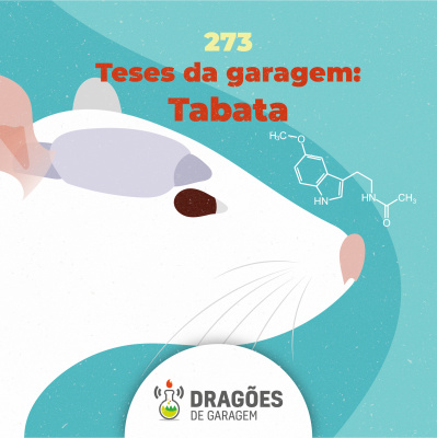 Dragões De Garagem