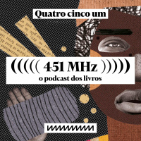 #52 - Na encruzilhada com Stella do Patrocínio