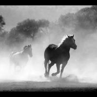 #149 - A Liberdade E A Disciplina