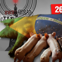 Otário News(26 de dezembro )