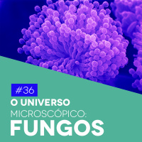 #36 O Universo Microscópico: Fungos