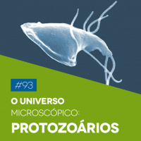 #93 O Universo Microscópico: Protozoários