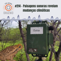 #214 – Paisagens sonoras revelam mudanças climáticas