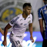 Trivela #308 Caiu na rede é Peixe