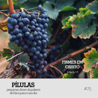 Pílulas #25 – Firmes em Cristo