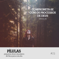 Pílulas #23 – Comprometa-se com os processos de Deus