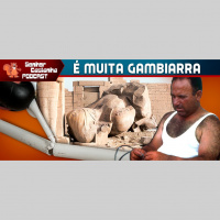 Senhor Castanha 37 – Gambiarras