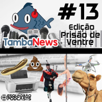 TambaNews #13 - Edição Prisão de Ventre