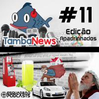 TambaNews #11 - Edição Apadrinhada