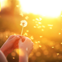 Deus procura os humildes em espírito - Palavra Amiga 04/08/2021