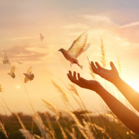 O poder do perdão é maior do que qualquer outro poder - Palavra Amiga 02/03/22