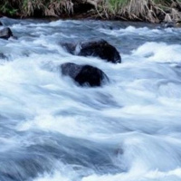 Lutando contra a correnteza - 14/04/2021