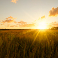 Nova vida com Deus - Palavra Amiga 25/10/21
