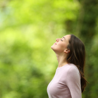 A importância da Alma - Palavra Amiga 10/11/21