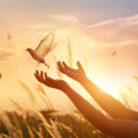 Não há felicidade sem o Espírito Santo! - Palavra Amiga 04/01/22