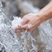 Fonte a jorrar Vida - Palavra Amiga 12/11/21