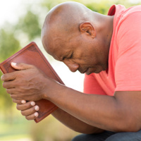 A pessoa sábia pensa antes de sentir - Palavra Amiga – 07/02/23