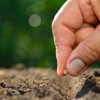 Essa é a maior lei da natureza - Palavra Amiga 25/07/22